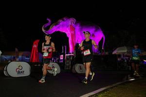 BIB: 
                            <button type="button" onclick="openModal(26543524)" class="btn btn-primary btn-sm float-right btn-popup" data-toggle="modal" data-target=".modal-high-quality">
                        <i class="fas fa-shopping-cart"></i> Add to Cart
                    </button>
                                            <button type="button" onclick="isThisMe(26543524, true)" class="btn btn-success btn-sm float-right btn-popup btn-isme hidden" data-toggle="tooltip" data-placement="bottom" title="นี่คือรูปของคุณใช่ไหม คลิกที่นี่เพื่อเอาเข้าอัลบั้ม">
                        <i class="fas fa-plus"></i> Add to album
                    </button>
                    <button type="button" onclick="isThisMe(26543524, false)" class="btn btn-warning btn-sm float-right btn-popup btn-isnotme hidden">
                        <i class="fas fa-ban"></i> Remove from album
                    </button>